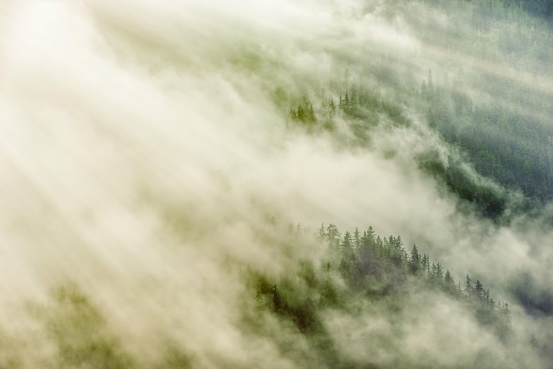 Mystical Greens